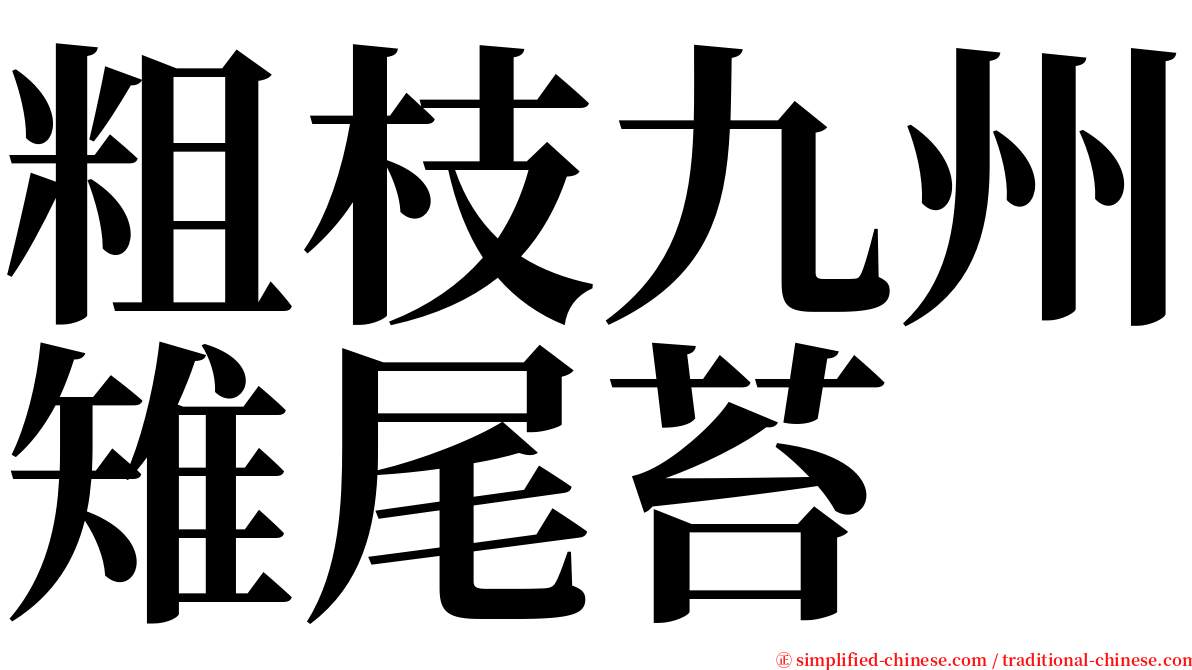 粗枝九州雉尾苔 serif font