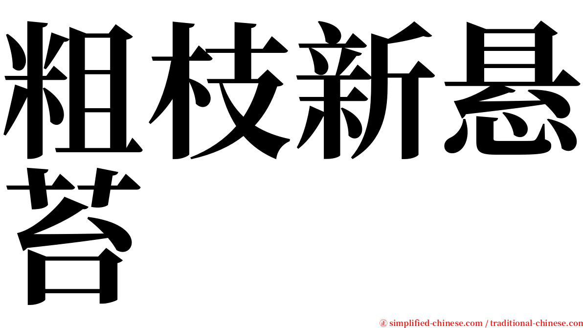 粗枝新悬苔 serif font