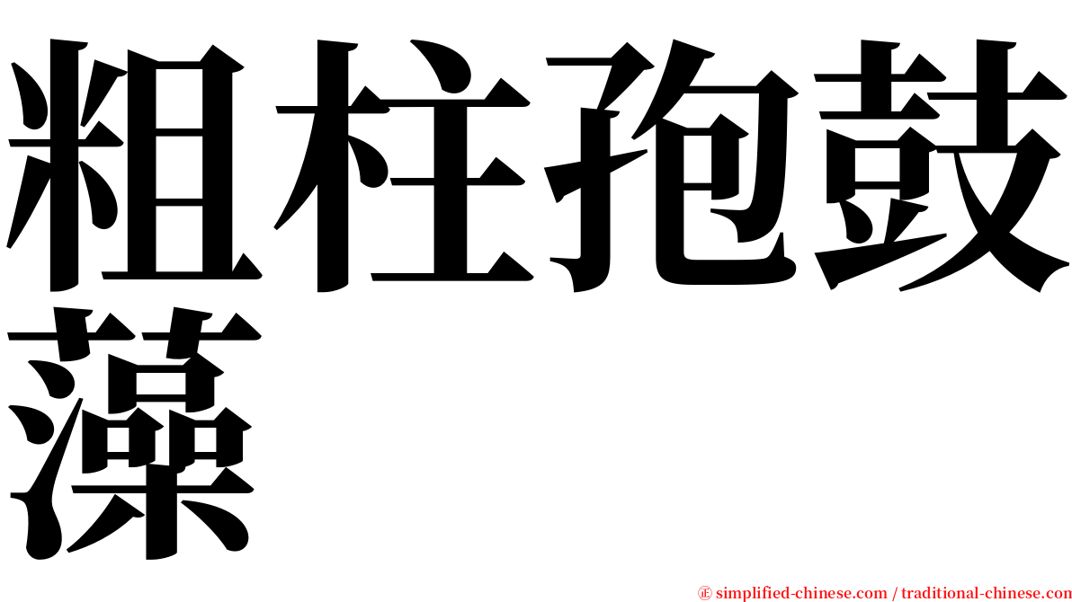 粗柱孢鼓藻 serif font