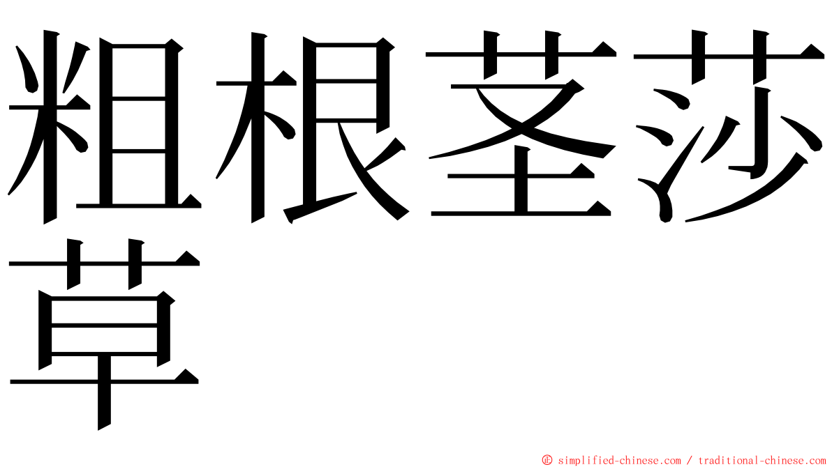 粗根茎莎草 ming font