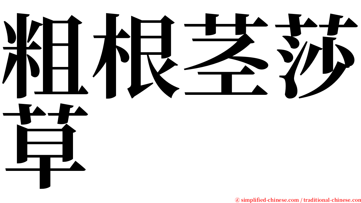 粗根茎莎草 serif font