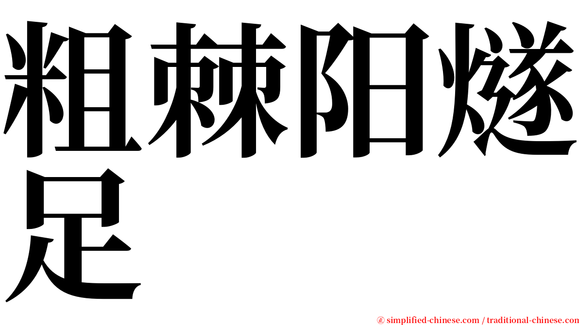 粗棘阳燧足 serif font