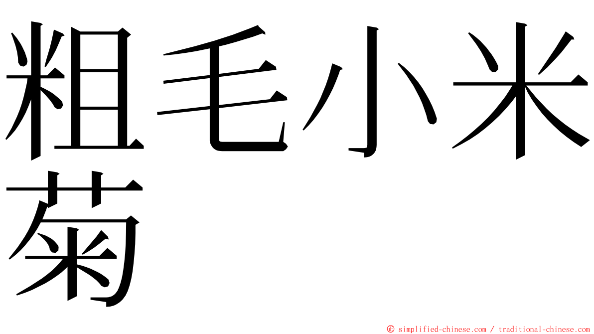 粗毛小米菊 ming font