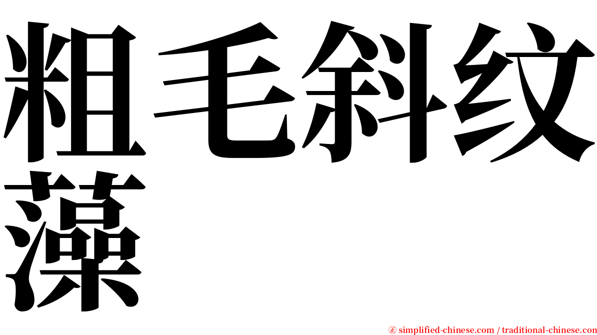 粗毛斜纹藻 serif font