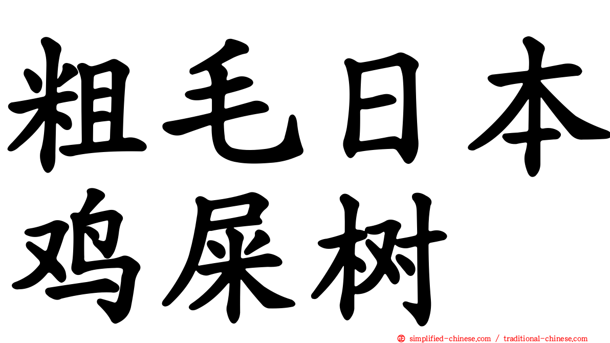 粗毛日本鸡屎树