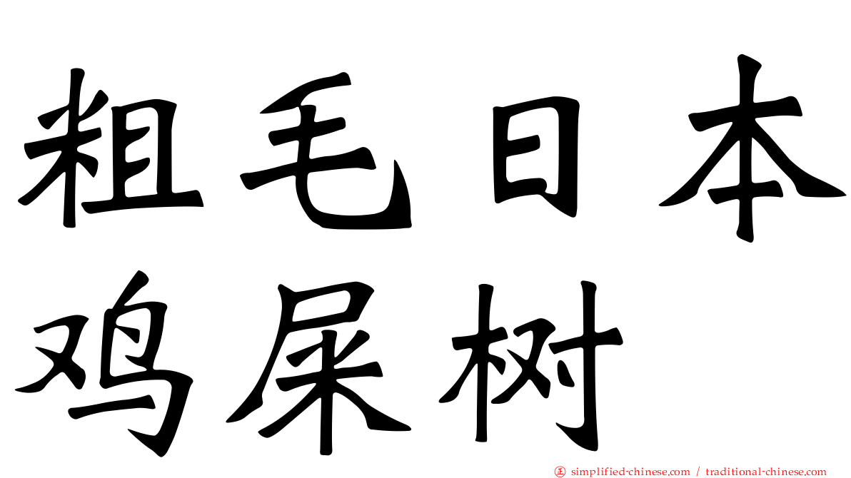 粗毛日本鸡屎树