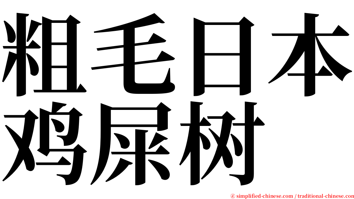 粗毛日本鸡屎树 serif font