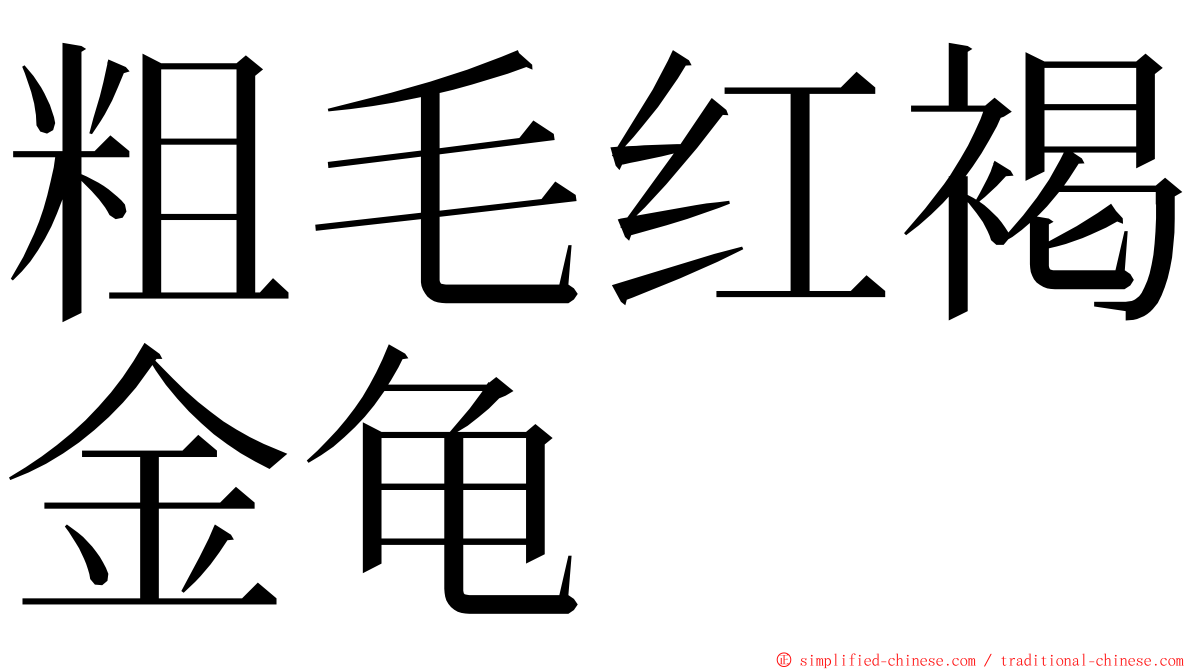 粗毛红褐金龟 ming font