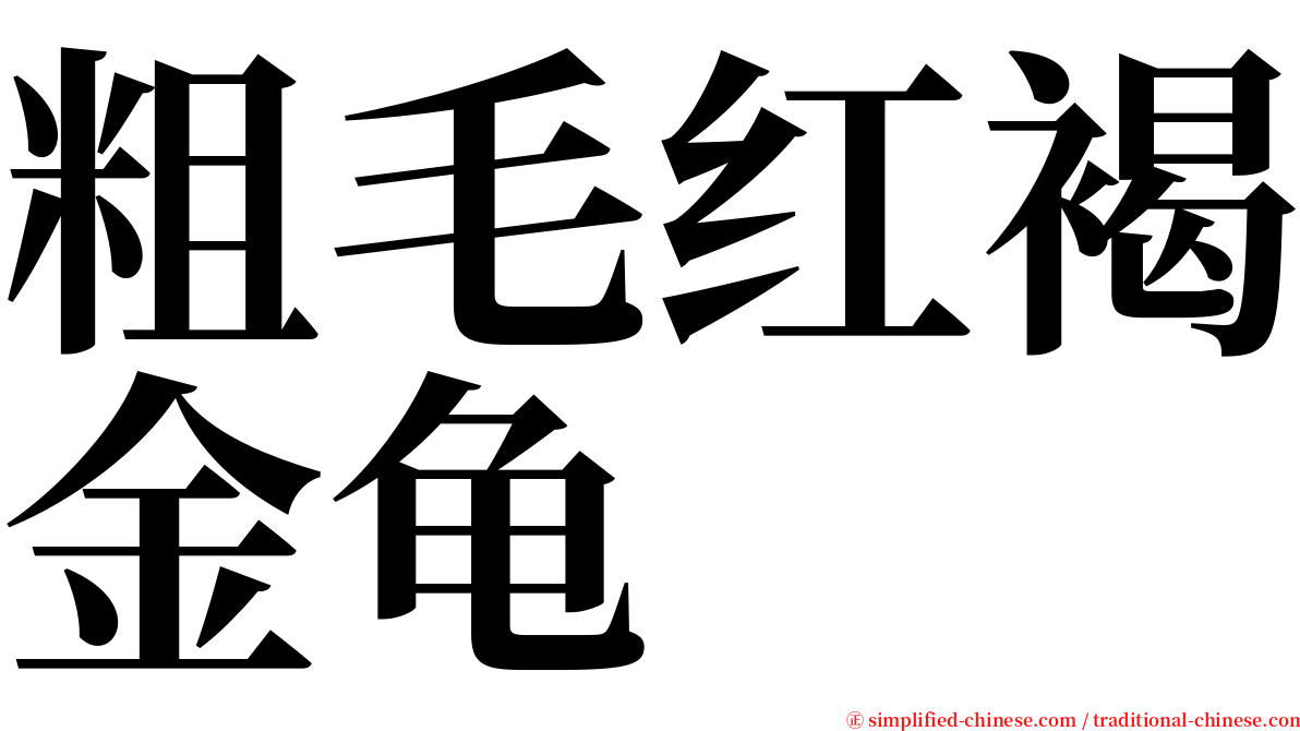 粗毛红褐金龟 serif font