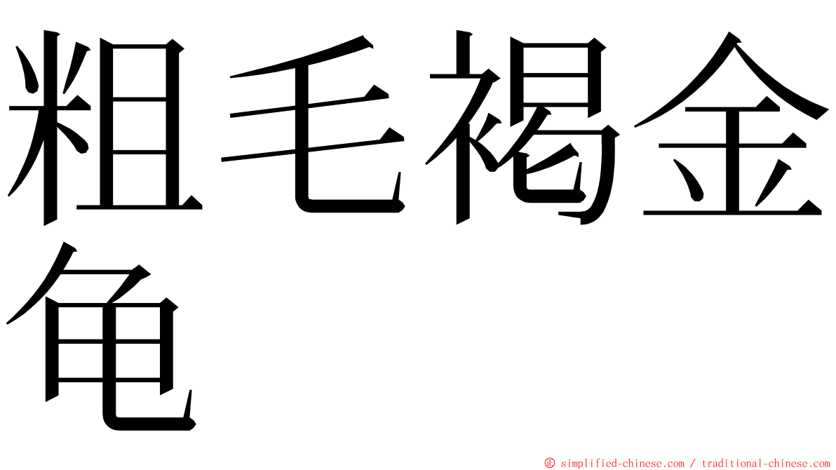 粗毛褐金龟 ming font