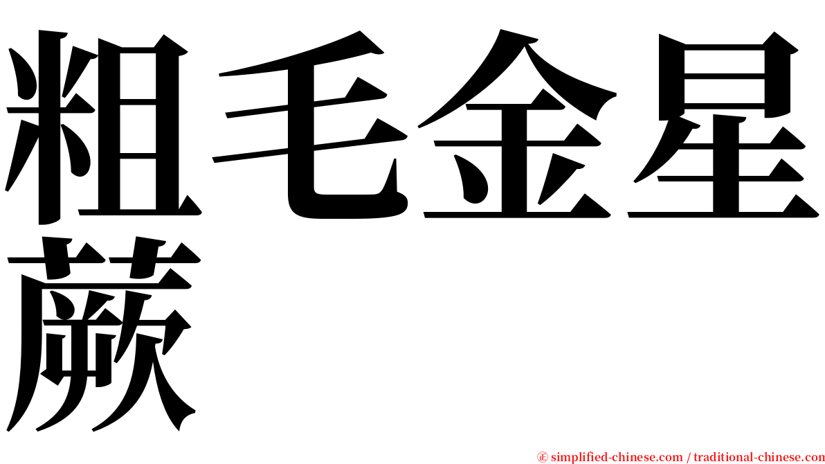 粗毛金星蕨 serif font