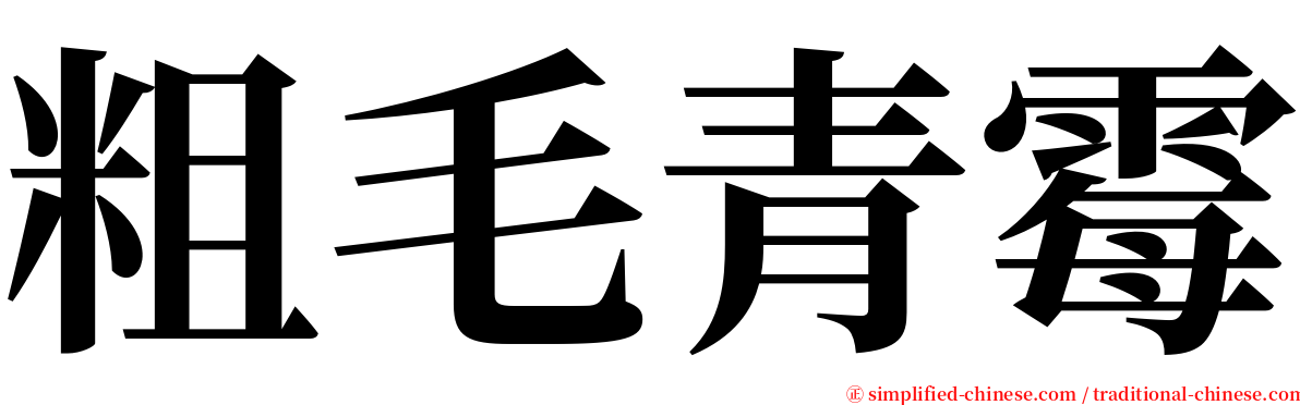 粗毛青霉 serif font