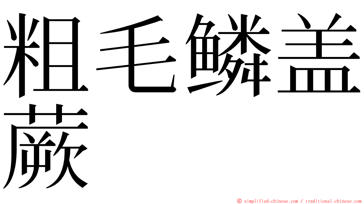 粗毛鳞盖蕨 ming font