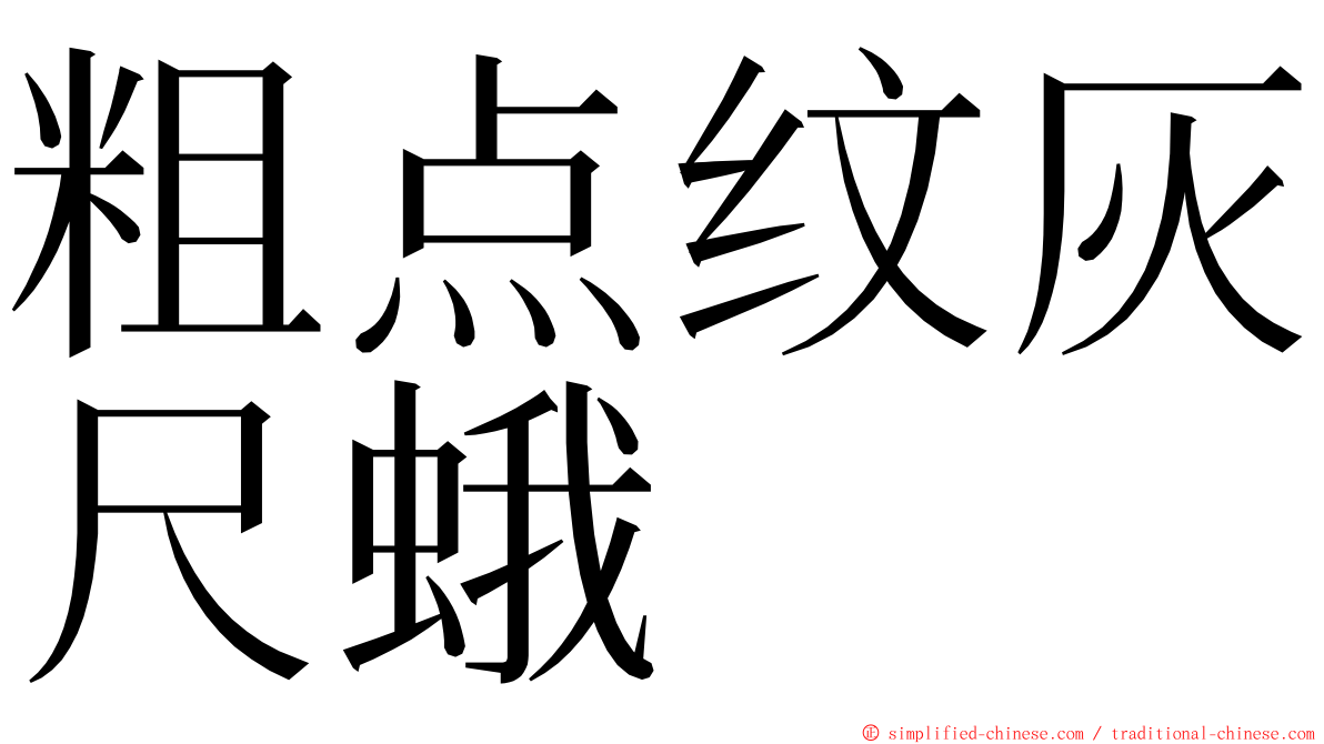 粗点纹灰尺蛾 ming font