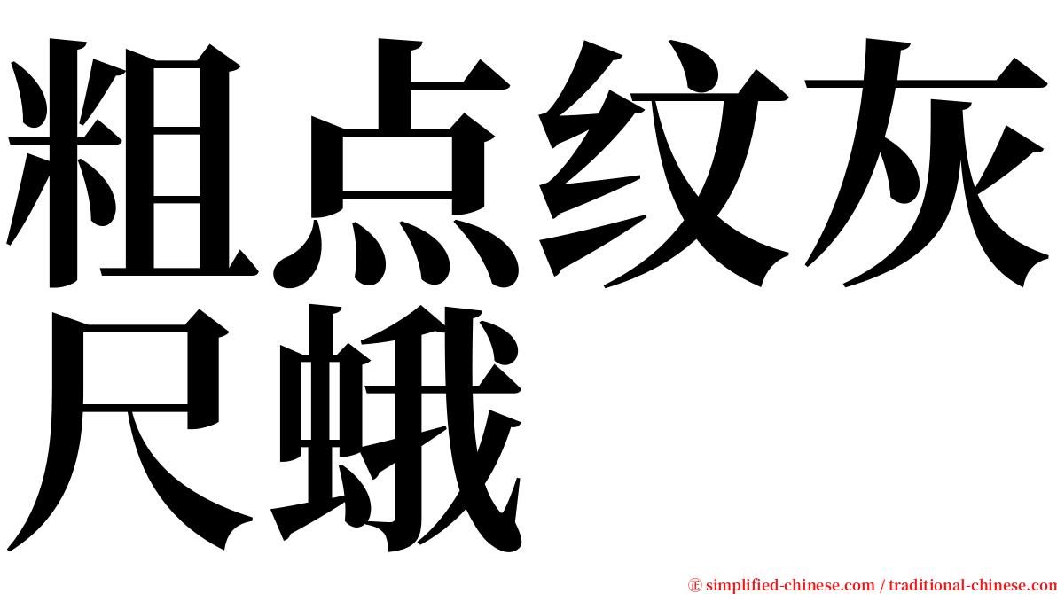 粗点纹灰尺蛾 serif font