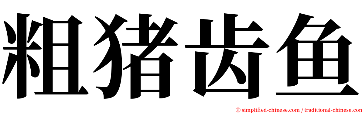 粗猪齿鱼 serif font