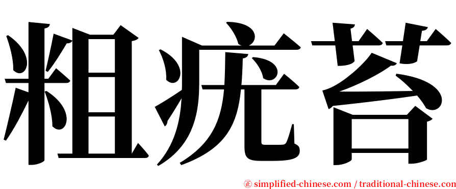 粗疣苔 serif font