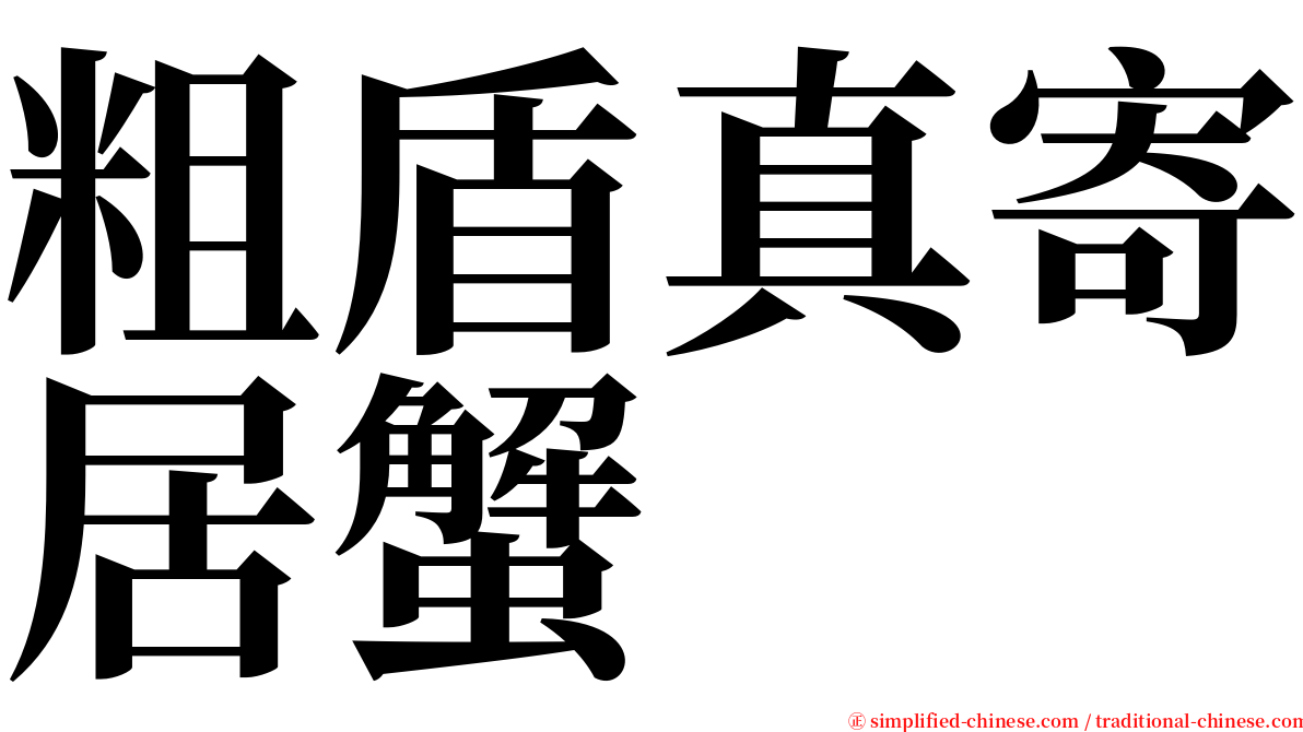 粗盾真寄居蟹 serif font