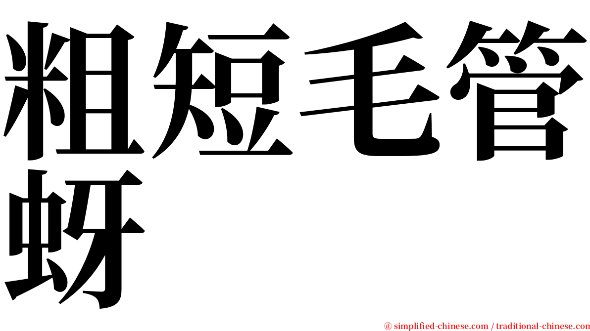 粗短毛管蚜 serif font