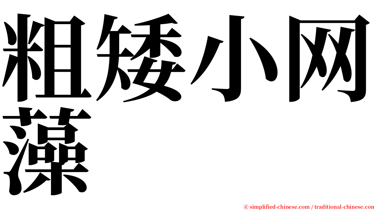 粗矮小网藻 serif font