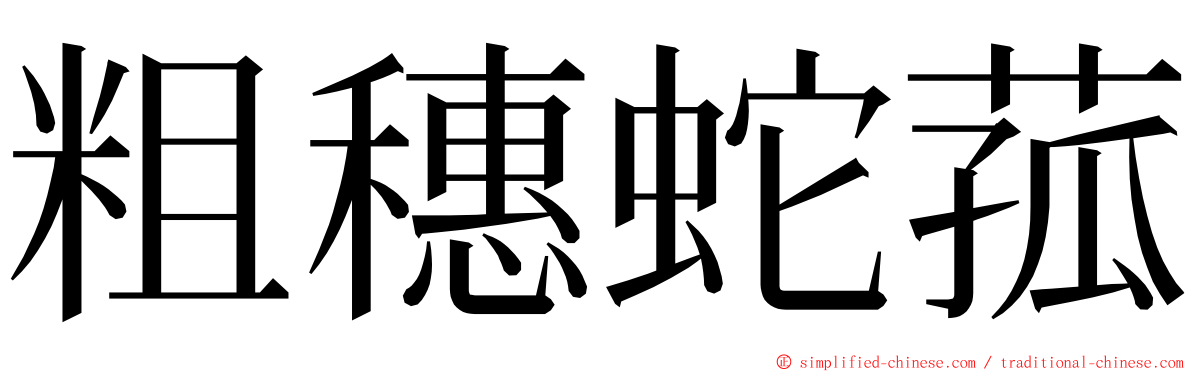 粗穗蛇菰 ming font