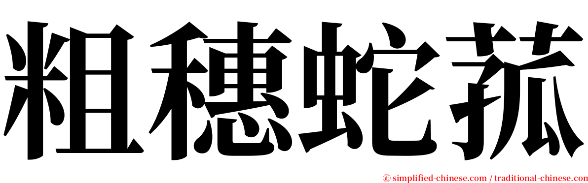 粗穗蛇菰 serif font