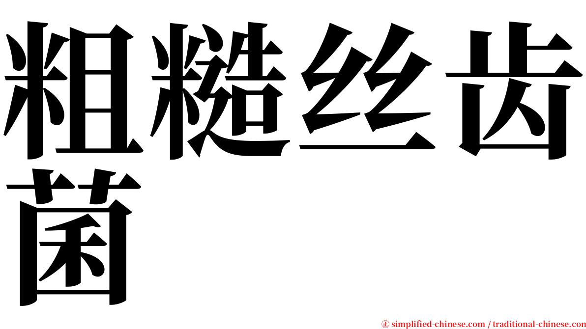 粗糙丝齿菌 serif font