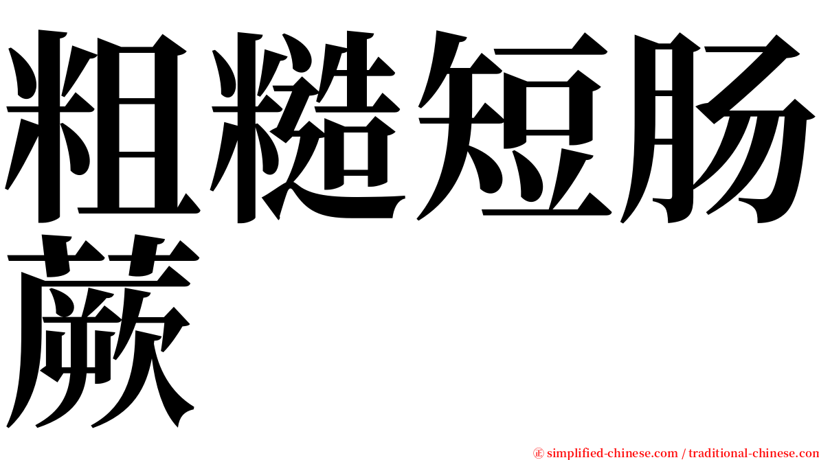 粗糙短肠蕨 serif font