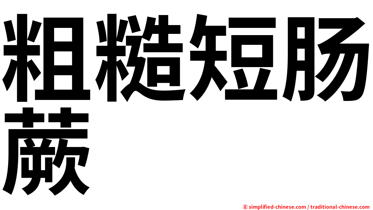 粗糙短肠蕨