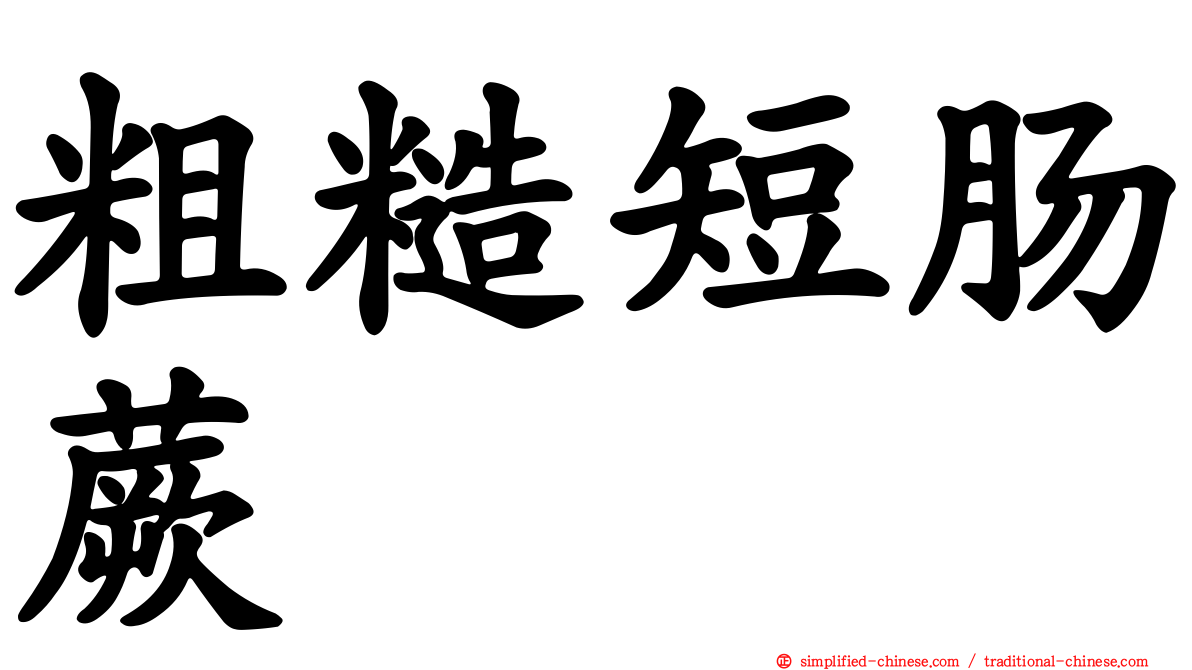 粗糙短肠蕨