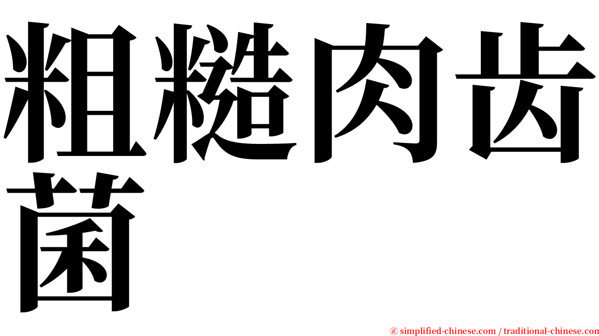 粗糙肉齿菌 serif font