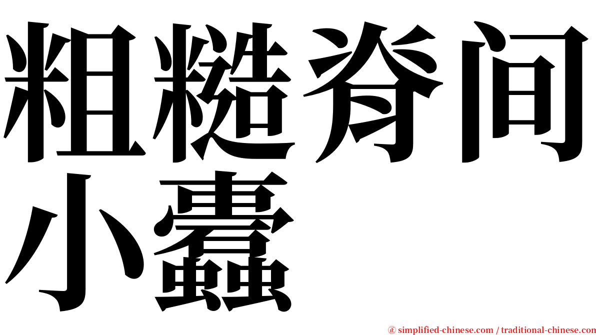 粗糙脊间小蠹 serif font