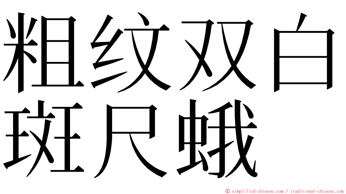 粗纹双白斑尺蛾 ming font