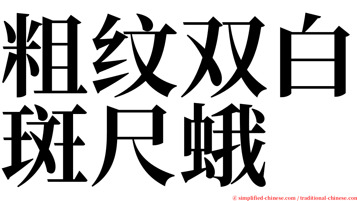 粗纹双白斑尺蛾 serif font