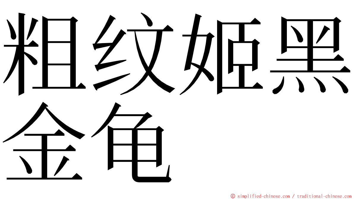 粗纹姬黑金龟 ming font