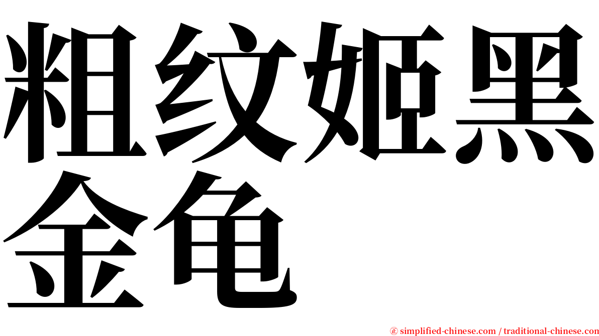 粗纹姬黑金龟 serif font