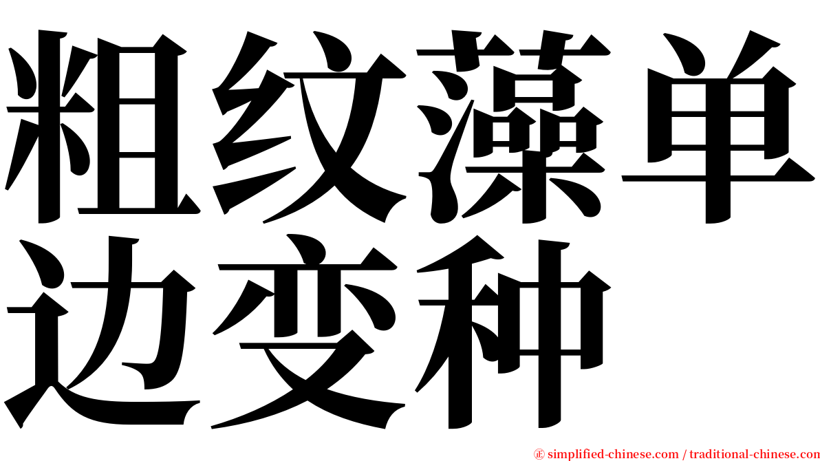 粗纹藻单边变种 serif font