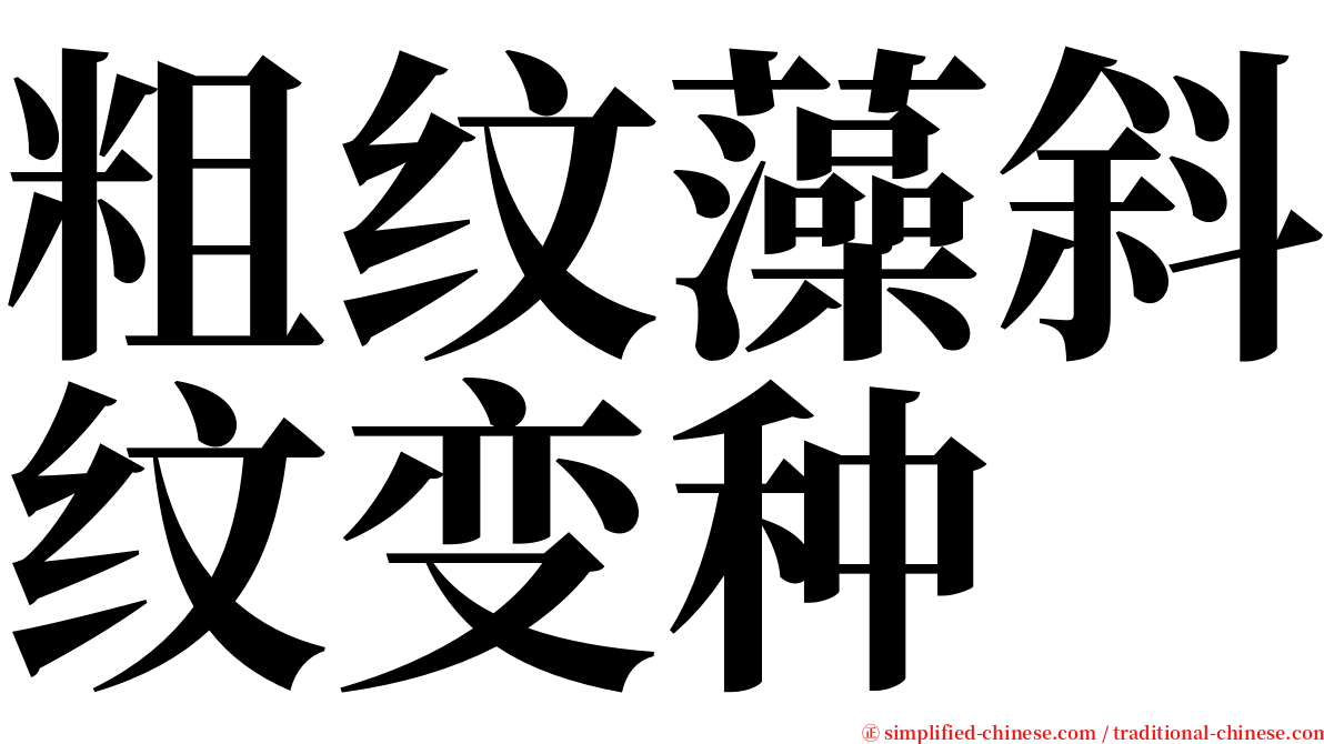 粗纹藻斜纹变种 serif font