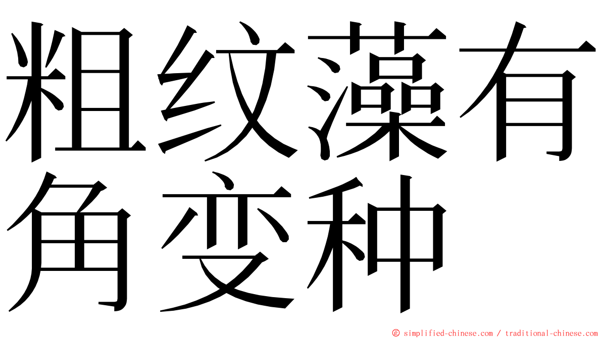 粗纹藻有角变种 ming font