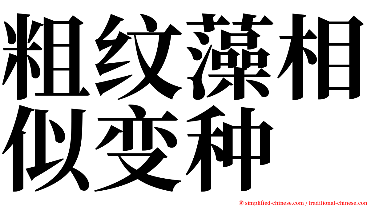 粗纹藻相似变种 serif font