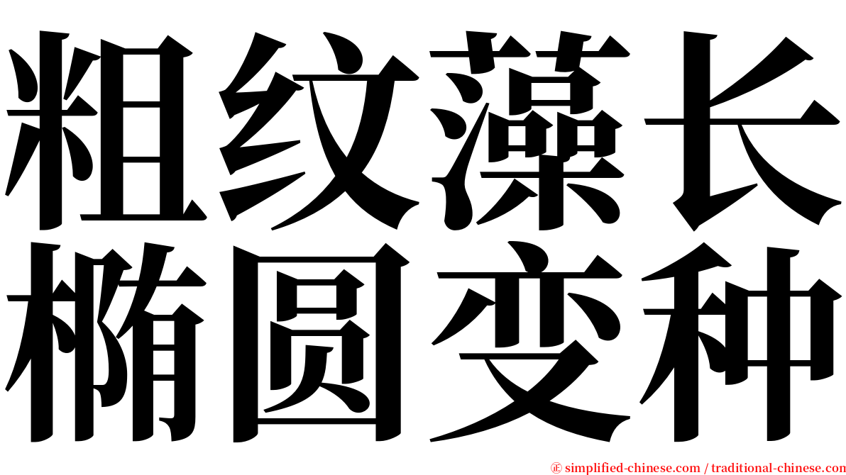 粗纹藻长椭圆变种 serif font