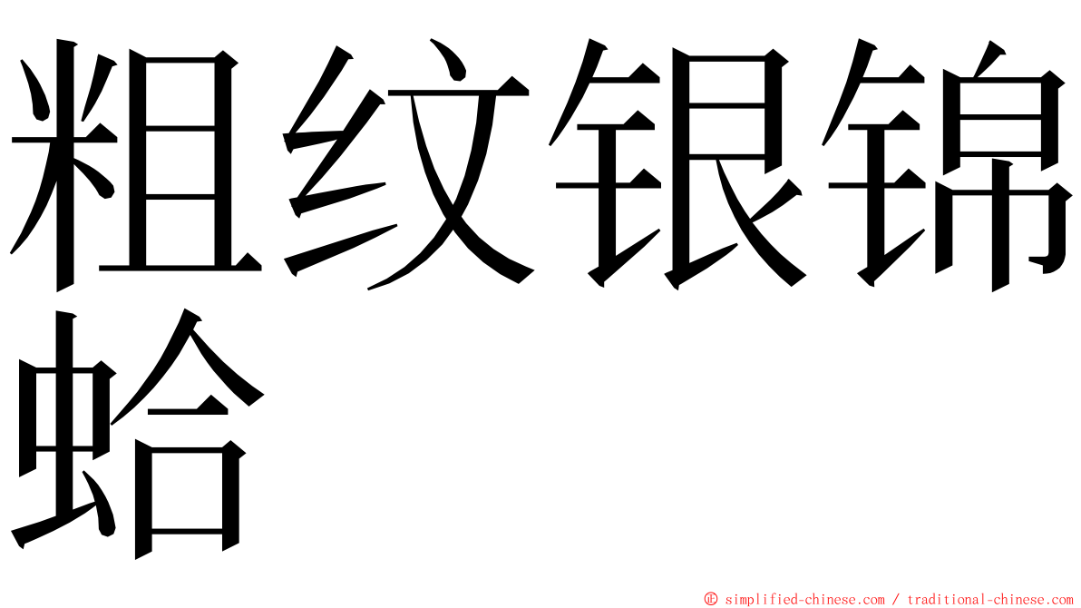 粗纹银锦蛤 ming font