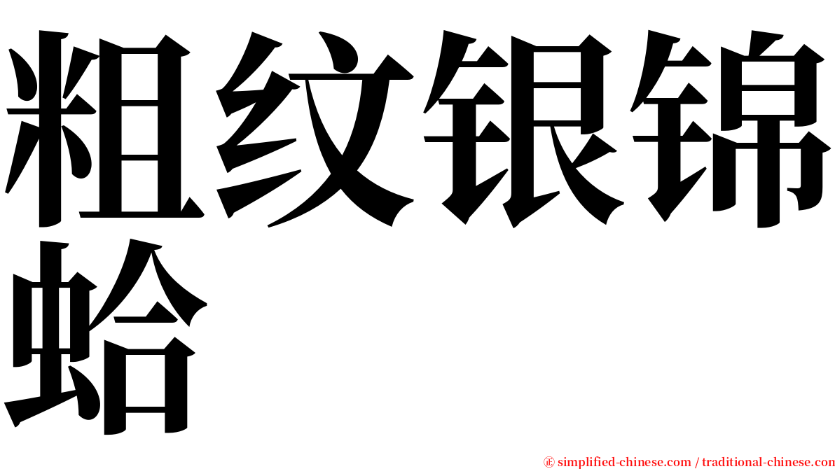 粗纹银锦蛤 serif font