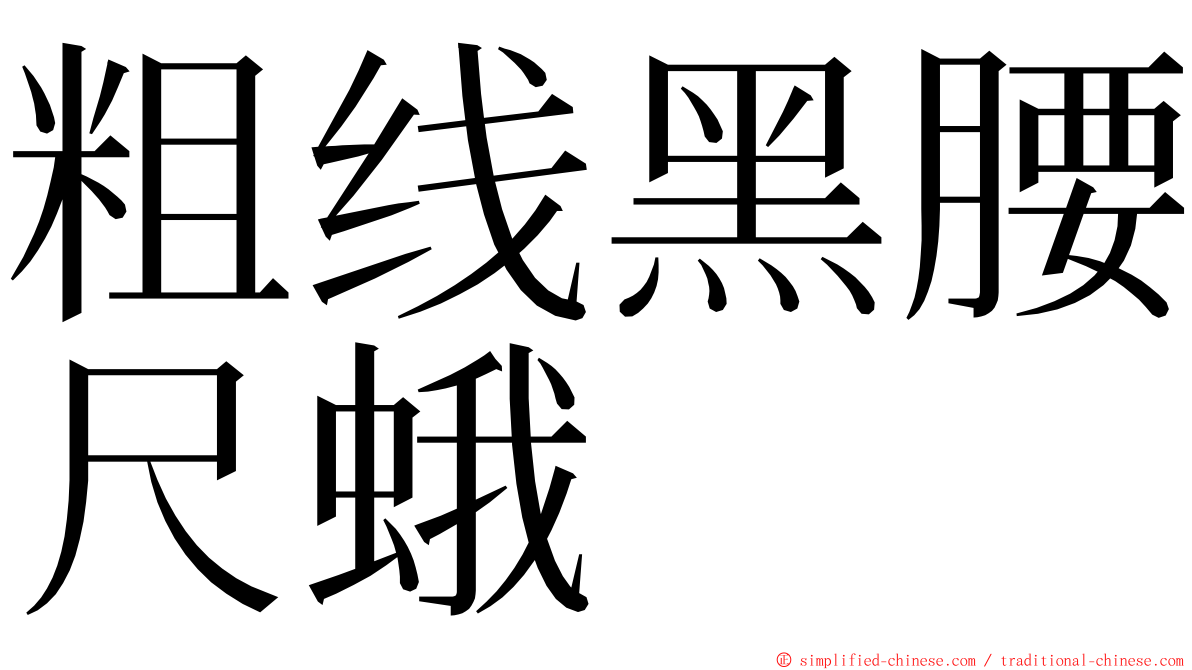 粗线黑腰尺蛾 ming font