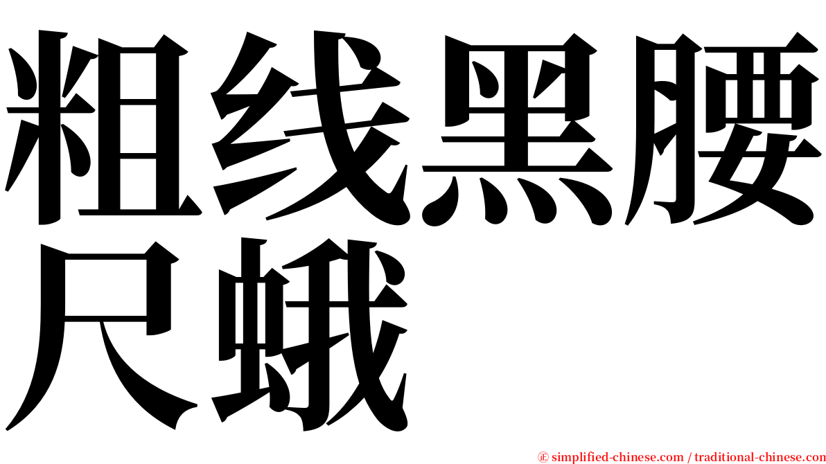 粗线黑腰尺蛾 serif font