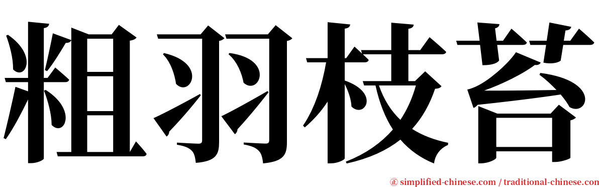 粗羽枝苔 serif font