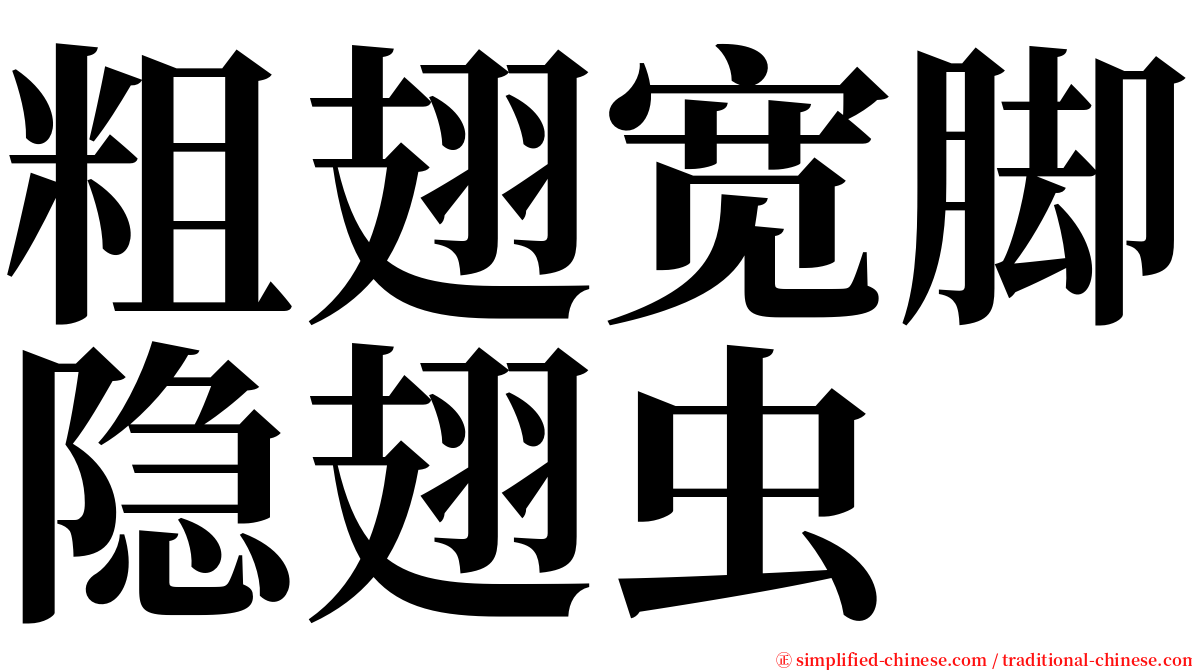 粗翅宽脚隐翅虫 serif font