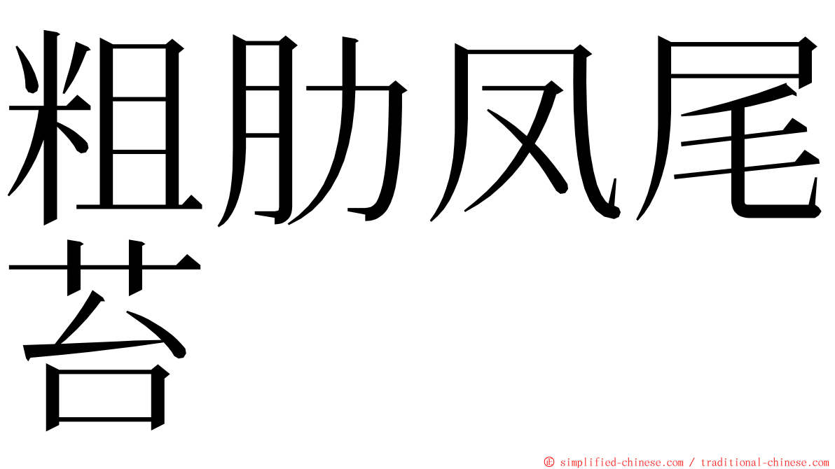 粗肋凤尾苔 ming font