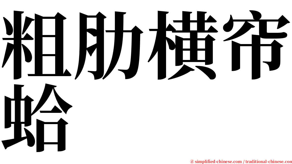 粗肋横帘蛤 serif font