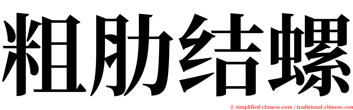 粗肋结螺 serif font